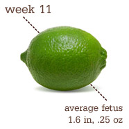 Week 11 Pregnancy Recap