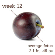Week 12 Pregnancy Recap
