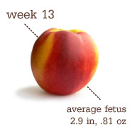 Week 13 Pregnancy Recap